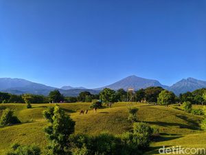 Savana Lendang Dangar, Surga Padang Rumput di Kaki Gunung Rinjani