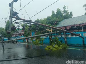 8 Tiang Roboh gegara Pohon Tumbang di Selayar, Listrik Wilayah Selatan Padam