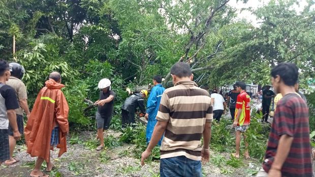 TRC BPBD Selayar mengevakuasi pohon tumbang yang menimpa rumah warga.