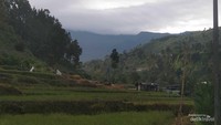 Foto Gunung Slamet Berkabut