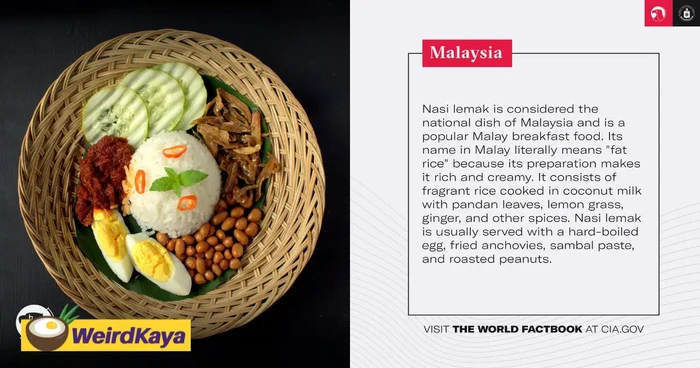 Badan Intelijen Amerika Sebut Nasi Lemak Fat Rice