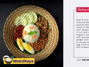 Diledek Netizen, Badan Intelijen Amerika Sebut Nasi Lemak Fat Rice