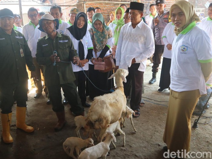 Bupati Demak Eistianah saat menghadiri acara deklarasi gerakan sinergi reforma agraria nasional di Desa Ngaluran, Kecamatan Karanganyar, Kabupaten Demak, Senin (22/4/2024).