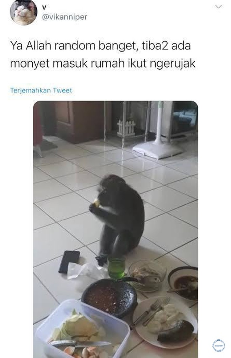 Deretan Kejadian Absurd Orang Indonesia, Mana yang Paling Bikin Ngakak? Kejadian yang dibagikan netizen Indonesia ini benar-benar absurd. Kalau kamu punya cerita yang lebih aneh, boleh banget share di kolom komentar.