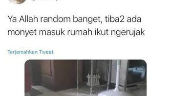Asik juga nih, ada tamu ikut ngerujak. Foto: X/martabakismissu