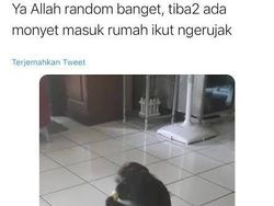 Deretan Kejadian Absurd Orang Indonesia, Mana yang Paling Bikin Ngakak?