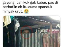 Deretan Kejadian Absurd Orang Indonesia, Mana yang Paling Bikin Ngakak?