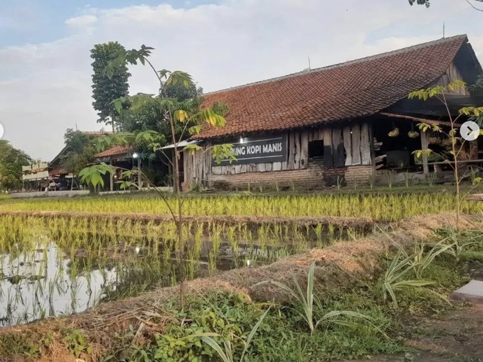 Di Warung Makan Cirebon Ini Ada Menu Rumahan dengan View Sawah Asri!