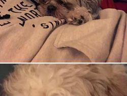 Deretan Foto Kaki Hewan Unik hingga Bikin Bergidik