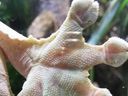 Deretan Foto Kaki Hewan Unik hingga Bikin Bergidik