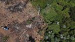 Foto Udara Hutan di Brasil Gundul Akibat Illegal Logging