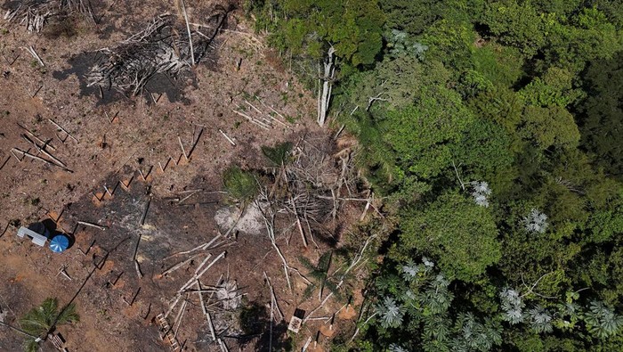 A drone view shows the city and an area under permanent protection that was illegally deforested, in Aruja, on the outskirts of Sao Paulo, Brazil April 21, 2024. REUTERS/Amanda Perobelli
