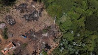 Pemandangan drone menunjukkan pohon-pohon tergeletak di tanah di kawasan yang berada di bawah perlindungan permanen yang ditebangi secara ilegal di Aruja. 