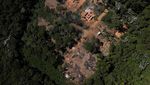 Foto Udara Hutan di Brasil Gundul Akibat Illegal Logging