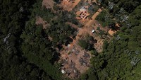 Hutan di Aruja, Brasil, dirusak oleh warga tidak bertanggung jawab. 