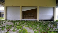 Kondisi toko pakaian yang ditumbuhi rumput liar.