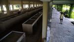 Pasar Modern Saruma Halmahera Selatan Terbengkalai