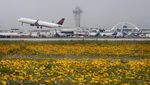 Lanskap Musim Semi yang Memukau di California