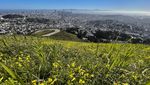 Lanskap Musim Semi yang Memukau di California