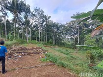 Pembunuhan Wanita di Slogohimo: Korban Tewas Dibekap Lalu Dibakar