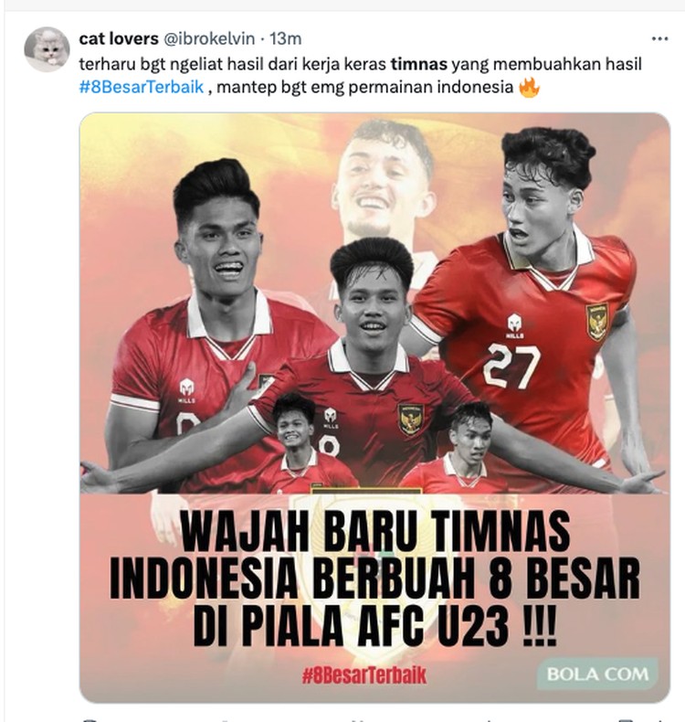 Meme Timnas Indonesia