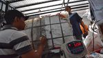 Menilik Aktivitas Bank Sampah Induk Surabaya
