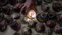 Atas kesepakat bersama, hasil tangkapan dijual untuk membiayai perawatan dua anak yang sakit dan kebutuhan lainnya di kampung tersebut.
