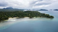 Keberhasilan masyarakat setempat dalam menjaga ekosistem laut tak lepas dari peran Yayasan Konservasi Alam Nusantara (YKAN) yang mendampingi pengelolaan Sasi. YKAN menjadi tonggak penting untuk menjaga ekosistem laut yang rentan di tengah tekanan pembangunan modern.
