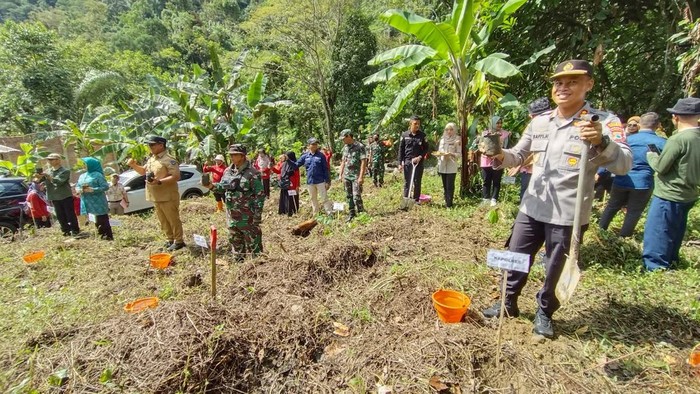 Pemkot Palopo, Sulawesi Selatan (Sulsel) melakukan penanaman 500 pohon di Bukit Siguntu untuk memperingati hari bumi.