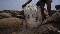 Aturan ini disahkan karena sampah plastik menjadi sumber limbah padat kota terbesar kedua di Hong Kong.