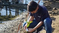 Indosat kembali melanjutkan komitmennya untuk melesatarikan lingkungan melalui program Digitalisasi Konservasi Mangrove.