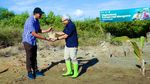 Peringati Hari Bumi, Indosat Tanam Mangrove di Pesisir Aceh