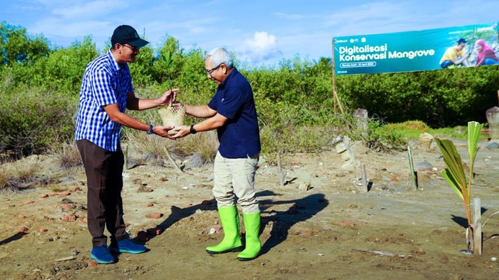 Peringati Hari Bumi, Indosat Tanam Mangrove di Pesisir Aceh Indosat memperingati Hari Bumi, Senin (22/04) di Aceh. Mereka menanam bibit mangrove di wilayah pesisir Aceh.