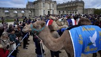 Parade unta sedianya diadakan di luar gedung UNESCO di Paris, namun organisasi perlindungan hak-hak binatang dilaporkan keberatan dengan acara tersebut sehingga polisi melarang parade tersebut.  
