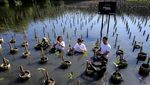 Tanam Mangrove untuk Peringati Hari Bumi