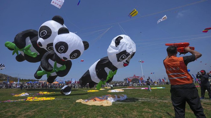 Kites lie on the ground during the 41st International Kite Festival in Weifang, Shandong Province of China, Saturday, April 20, 2024. (AP Photo/Tatan Syuflana)