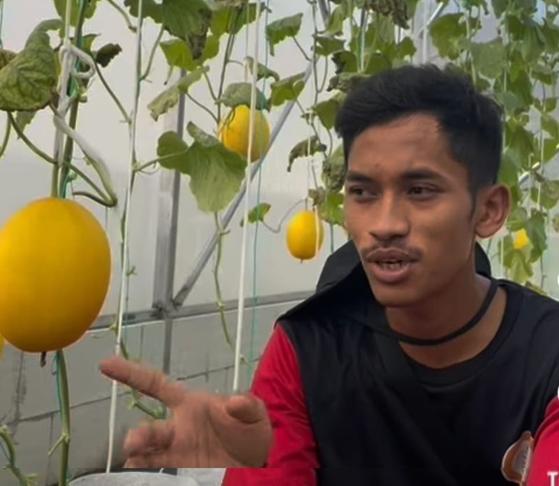 Adi Latif Mashudi, jadi sarjana di Korea pilih jadi petani di Blora