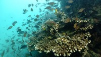 Hal ini terbukti penting dalam menjamin peraturan dan tindakan yang tepat di masa depan – bahkan sebelum limbah tersebut berakhir di laut.  
