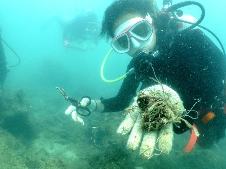 Aksi Penyelam Thailand Bersihkan Sampah Plastik di Perairan Phuket