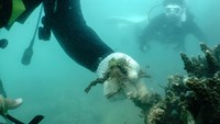 Kelompok selam scuba dan organisasi kelautan Thailand telah berupaya untuk menghilangkan peralatan hantu tersebut, namun menurut mereka pelacakan skalanya masih bermasalah. Di lepas pantai Phuket, penyelam dilengkapi dengan peralatan selam, gunting, jaring, dan buku catatan. Mereka mencatat data misi pembersihan yang dikoordinasikan oleh Environmental Justice Foundation atau EJF.