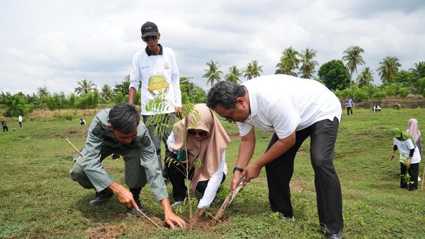 Pj Gubernur Sulsel Bahtiar Baharuddin saat penanaman pohon di Wajo.