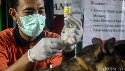 Vaksinasi rabies gratis untuk hewan peliharaan digelar di RPTRA Asoka, Jl Pejaten Raya, Jakarta Selatan. Hal ini guna mempertahankan status Jakarta bebas rabies.