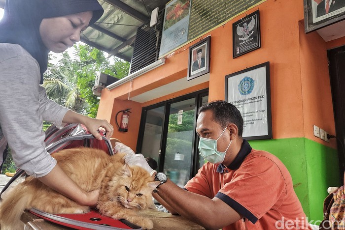 Vaksinasi rabies gratis untuk hewan peliharaan digelar di RPTRA Asoka, Jl Pejaten Raya, Jakarta Selatan. Hal ini guna mempertahankan status Jakarta bebas rabies.