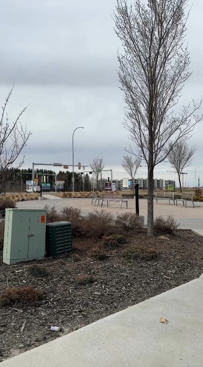 Penampakan suasana di sekitar rumah Cindy Fatikasari dan keluarganya yang diunggah ke akun Instagram. Karena suhu yang dingin keluarga Cindy juga terlihat mengenakan jaket yang cukup tebal. Foto: Instagram/@cindyfatikasari18