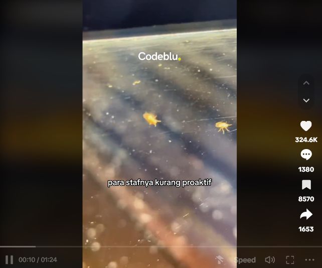 Codeblu Review Jujur 4 Restoran Ini, Ada yang Nyaris Bangkrut!