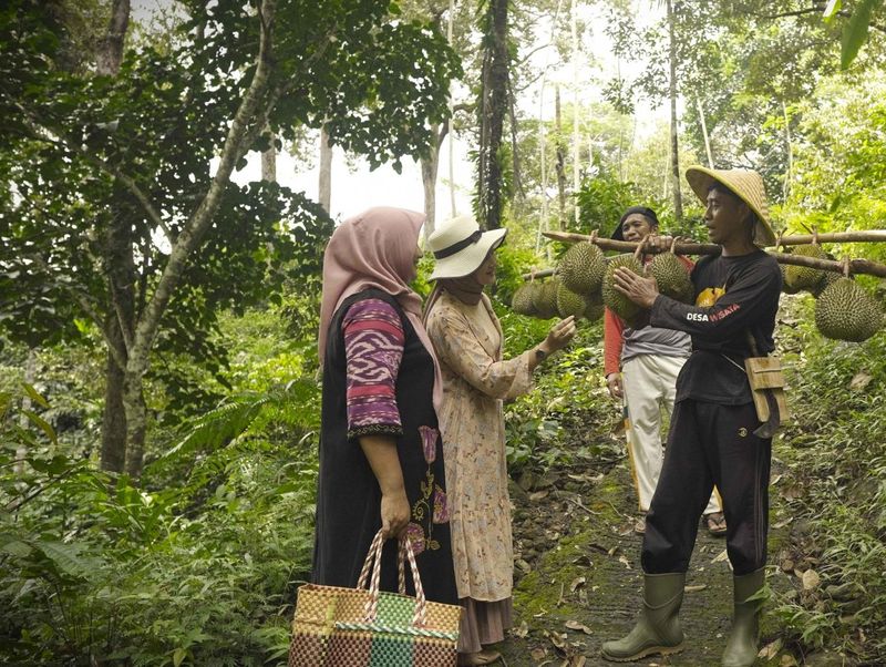 Desa Wisata Duren Sari Sawahan Trenggalek.