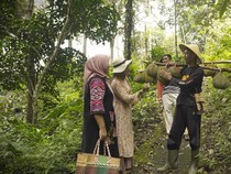Wisata Alam Sambil Menyantap Durian Lezat di Desa Duren Sari Trenggalek