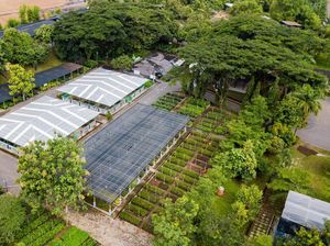 Upaya Bukit Asam Jadi Perusahaan Energi Kelas Dunia yang Peduli Lingkungan
