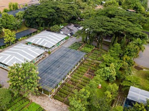 Upaya Bukit Asam Jadi Perusahaan Energi Kelas Dunia yang Peduli Lingkungan