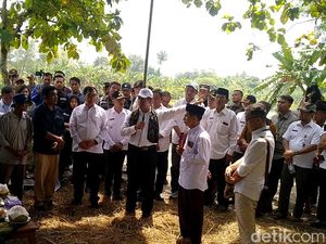 Mentan Marah-marah Dengar Petani Sulit Dapat Pupuk Subsidi di Pemalang